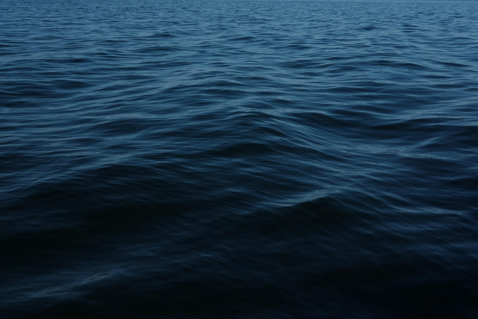 hush the sea hush the sea